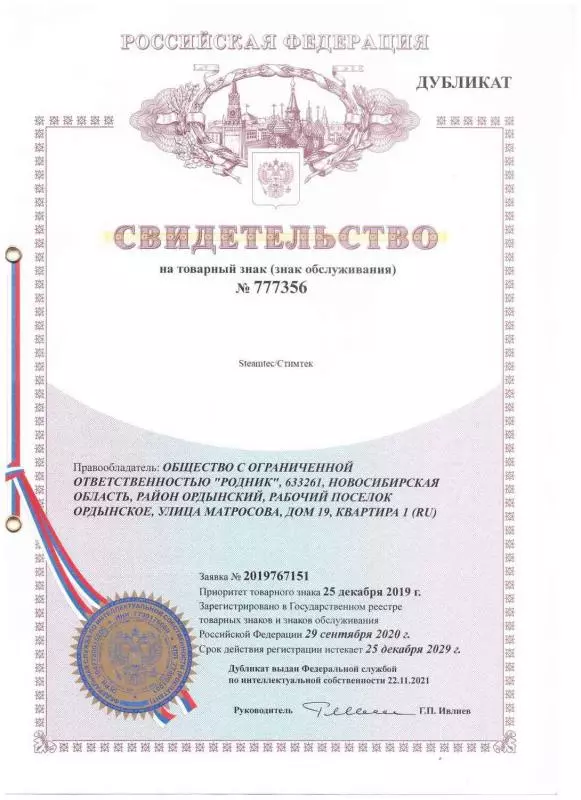 Свидетельство на товарный знак «Steamtec»